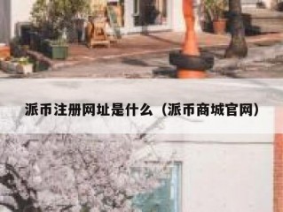 派币注册网址是什么（派币商城官网）