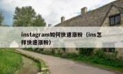instagram如何快速涨粉（ins怎样快速涨粉）