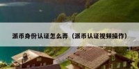 派币身份认证怎么弄（派币认证视频操作）