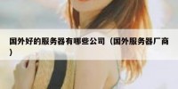 国外好的服务器有哪些公司（国外服务器厂商）