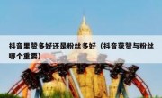 抖音里赞多好还是粉丝多好（抖音获赞与粉丝哪个重要）
