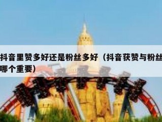抖音里赞多好还是粉丝多好（抖音获赞与粉丝哪个重要）