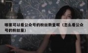 哪里可以看公众号的粉丝数量呢（怎么看公众号的粉丝量）