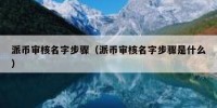 派币审核名字步骤（派币审核名字步骤是什么）