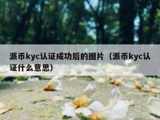 派币kyc认证成功后的图片（派币kyc认证什么意思）