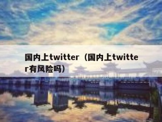 国内上twitter（国内上twitter有风险吗）