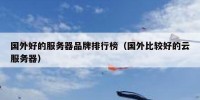 国外好的服务器品牌排行榜（国外比较好的云服务器）