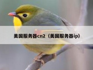 美国服务器cn2（美国服务器ip）