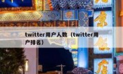 twitter用户人数（twitter用户排名）