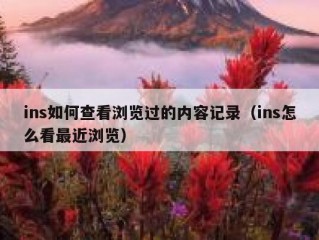 ins如何查看浏览过的内容记录（ins怎么看最近浏览）