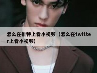 怎么在推特上看小视频（怎么在twitter上看小视频）