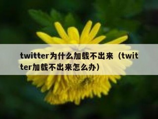 twitter为什么加载不出来（twitter加载不出来怎么办）