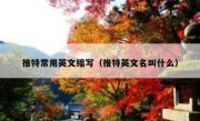 推特常用英文缩写（推特英文名叫什么）
