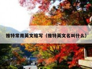 推特常用英文缩写（推特英文名叫什么）