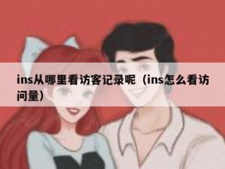 ins从哪里看访客记录呢（ins怎么看访问量）