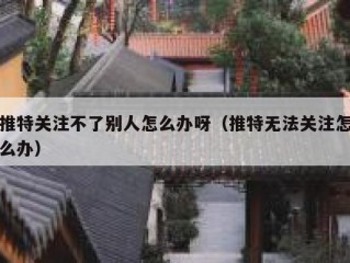 推特关注不了别人怎么办呀（推特无法关注怎么办）
