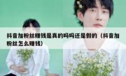 抖音加粉丝赚钱是真的吗吗还是假的（抖音加粉丝怎么赚钱）