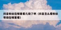 抖音粉丝在哪里看几级了啊（抖音怎么看粉丝等级在哪里看）