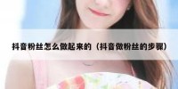 抖音粉丝怎么做起来的（抖音做粉丝的步骤）
