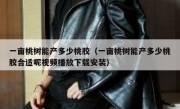 一亩桃树能产多少桃胶（一亩桃树能产多少桃胶合适呢视频播放下载安装）