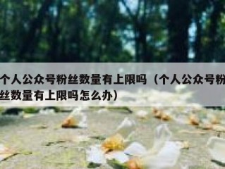 个人公众号粉丝数量有上限吗（个人公众号粉丝数量有上限吗怎么办）