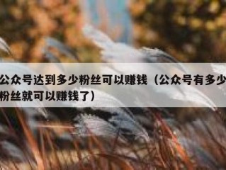 公众号达到多少粉丝可以赚钱（公众号有多少粉丝就可以赚钱了）