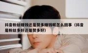 抖音粉丝赚钱还是赞多赚钱呢怎么回事（抖音是粉丝多好还是赞多好）