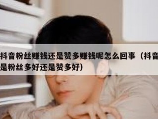 抖音粉丝赚钱还是赞多赚钱呢怎么回事（抖音是粉丝多好还是赞多好）