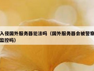 入侵国外服务器犯法吗（国外服务器会被警察监控吗）