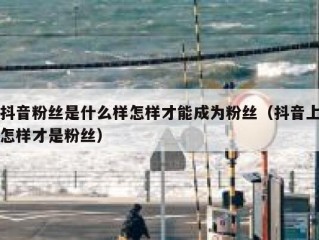 抖音粉丝是什么样怎样才能成为粉丝（抖音上怎样才是粉丝）