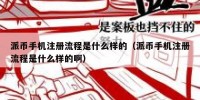 派币手机注册流程是什么样的（派币手机注册流程是什么样的啊）