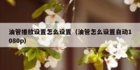 油管播放设置怎么设置（油管怎么设置自动1080p）