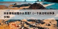 抖音里粉丝是什么意思?（一个关注可以挣多少钱）