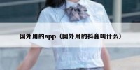 国外用的app（国外用的抖音叫什么）