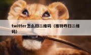 twitter怎么扫二维码（推特咋扫二维码）