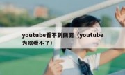 youtube看不到画面（youtube为啥看不了）
