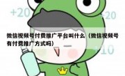 微信视频号付费推广平台叫什么（微信视频号有付费推广方式吗）