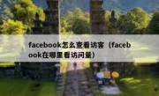 facebook怎么查看访客（facebook在哪里看访问量）