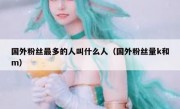 国外粉丝最多的人叫什么人（国外粉丝量k和m）