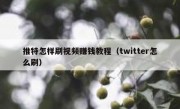 推特怎样刷视频赚钱教程（twitter怎么刷）