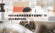 tiktok培训割韭菜属于犯罪吗?（tiktok培训6800）