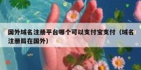 国外域名注册平台哪个可以支付宝支付（域名注册局在国外）