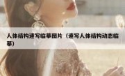 人体结构速写临摹图片（速写人体结构动态临摹）