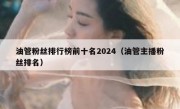 油管粉丝排行榜前十名2024（油管主播粉丝排名）