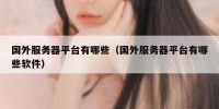 国外服务器平台有哪些（国外服务器平台有哪些软件）