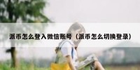 派币怎么登入微信账号（派币怎么切换登录）