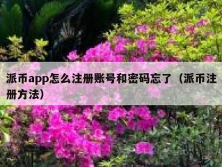 派币app怎么注册账号和密码忘了（派币注册方法）