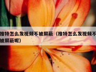 推特怎么发视频不被屏蔽（推特怎么发视频不被屏蔽呢）