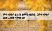 派币新用户怎么注册账号啊微信（派币新用户怎么注册账号啊微信）