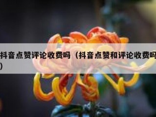 抖音点赞评论收费吗（抖音点赞和评论收费吗）